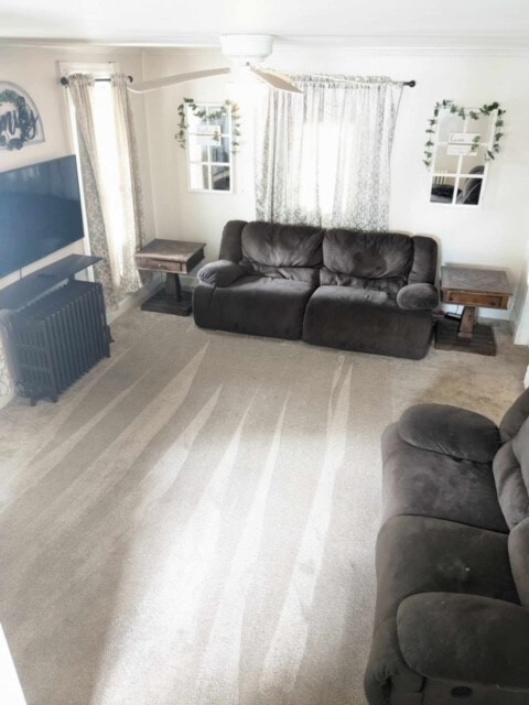 living room with carpet floors and crown molding