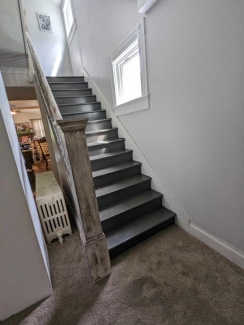 staircase featuring carpet