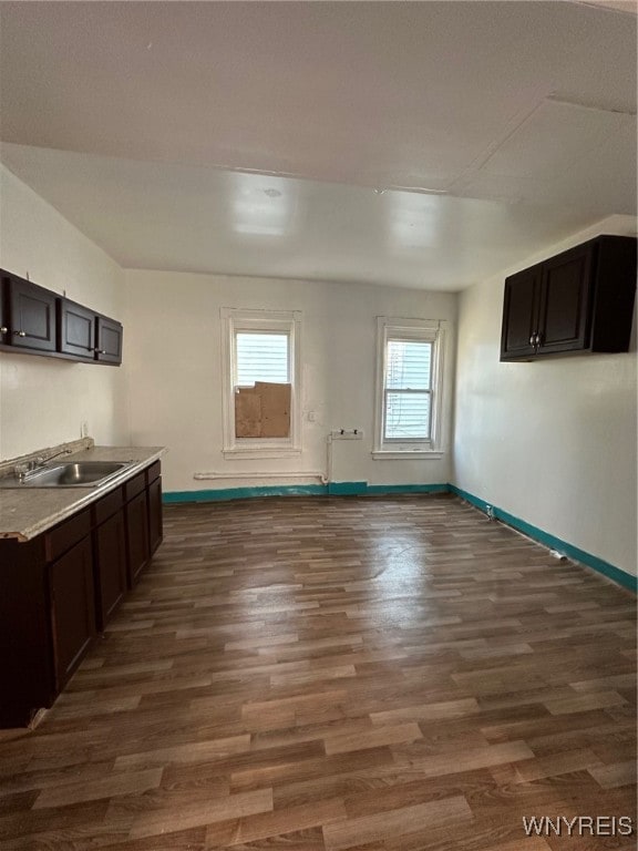 kitchen featuring dark brown cabinetry, dark wood-type flooring, and sink