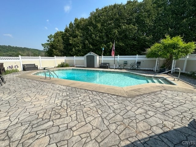 view of swimming pool featuring a patio and a storage unit