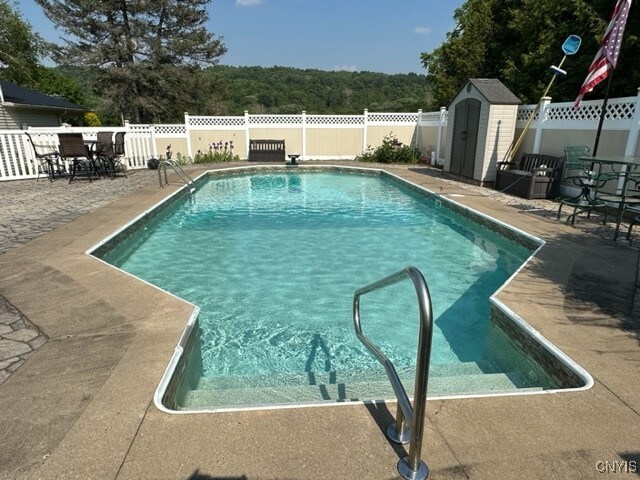 view of pool featuring a patio and a storage shed