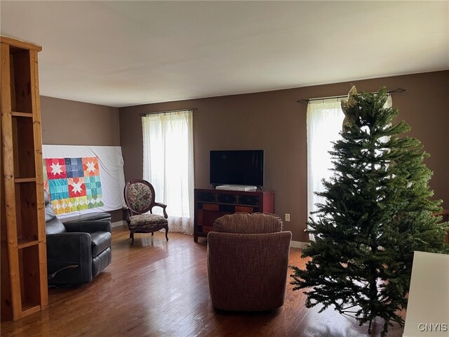 living room featuring dark wood-type flooring