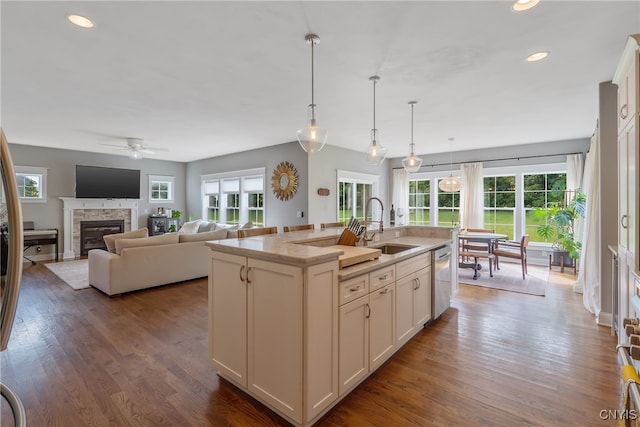 kitchen with hardwood / wood-style floors, plenty of natural light, white cabinetry, and a kitchen island with sink