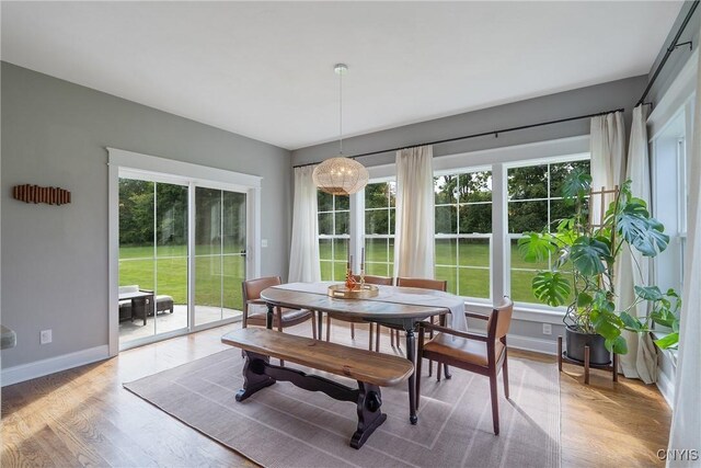 dining area with a wealth of natural light and light hardwood / wood-style floors