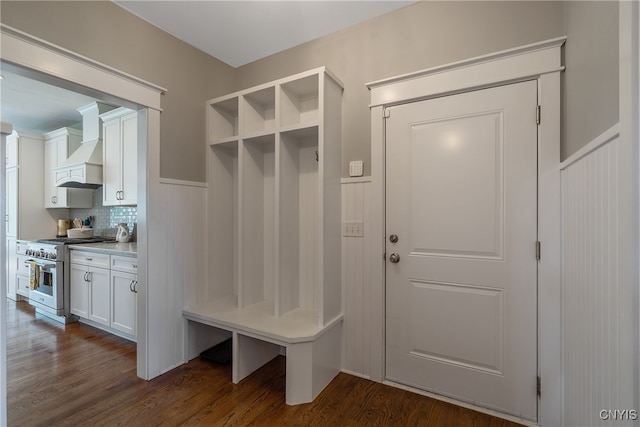 mudroom featuring dark hardwood / wood-style floors