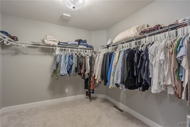 walk in closet featuring carpet flooring