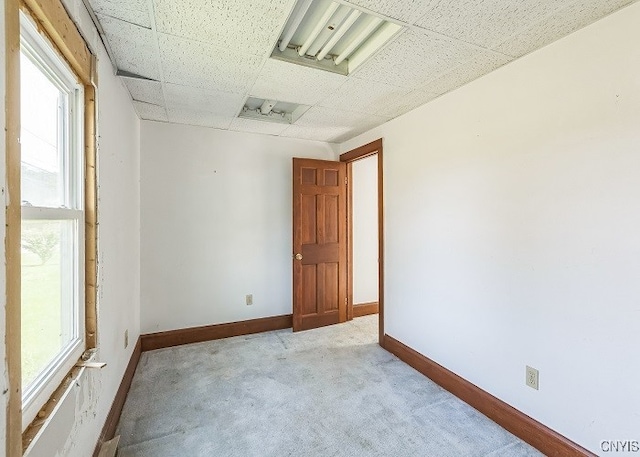 carpeted spare room featuring a drop ceiling and plenty of natural light