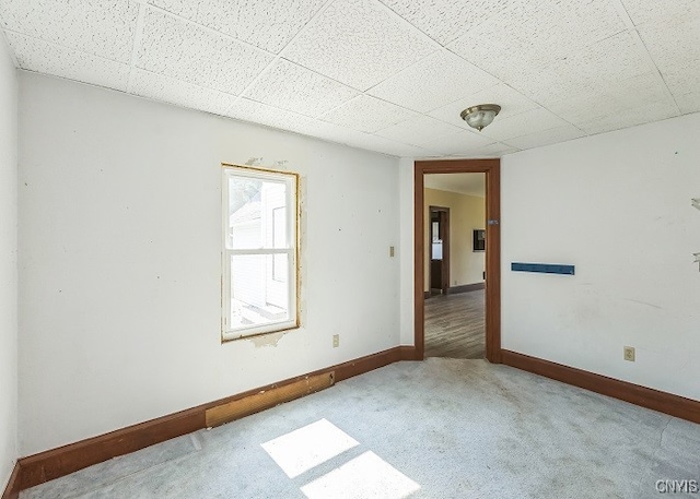 carpeted empty room featuring a drop ceiling