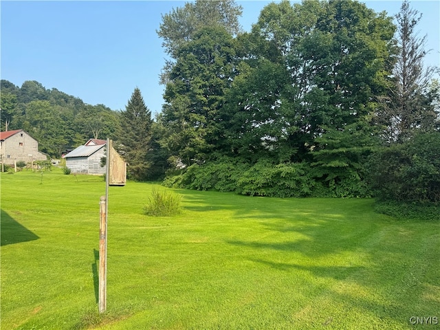 view of yard featuring a storage unit