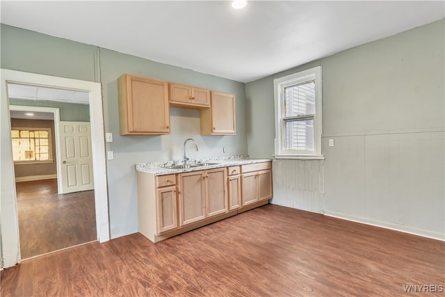 kitchen featuring light brown cabinetry, sink, and dark hardwood / wood-style flooring