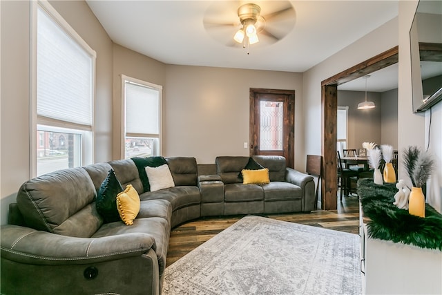 living room with ceiling fan and hardwood / wood-style flooring