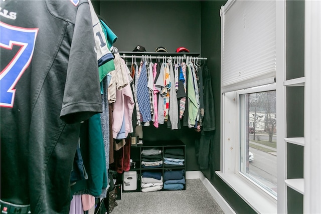 spacious closet with carpet