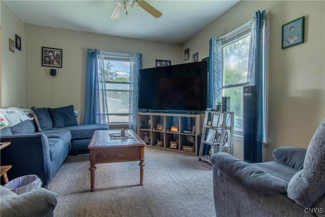 living room featuring ceiling fan and carpet