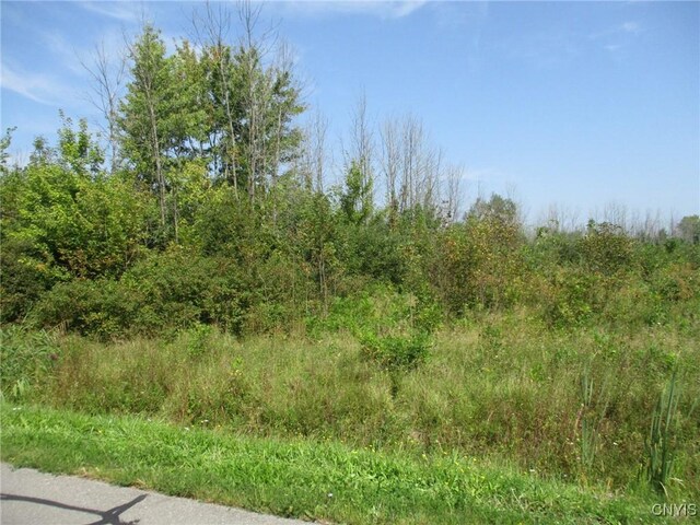 02 Hitchcock Point Rd, Sullivan, NY 13037 - photo 8