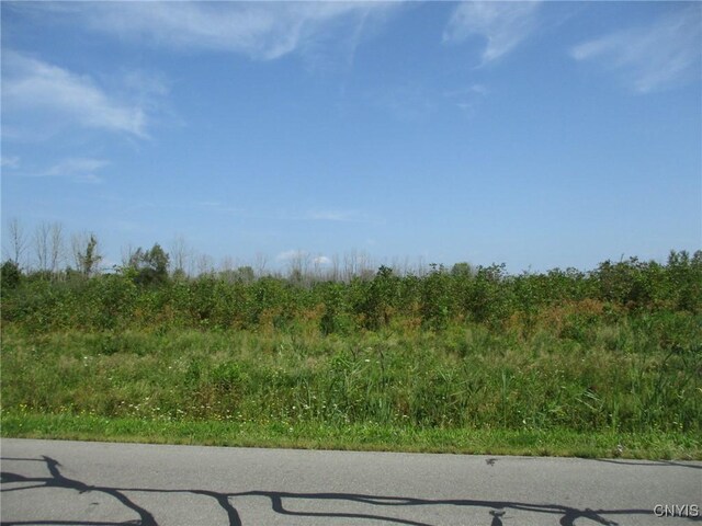02 Hitchcock Point Rd, Sullivan, NY 13037 - photo 9
