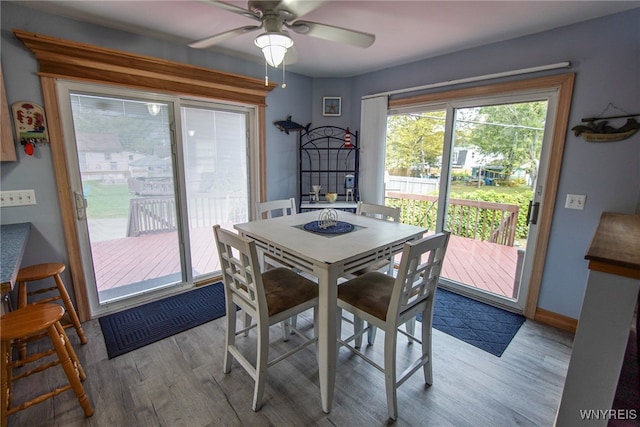 dining room featuring light hardwood / wood-style flooring and ceiling fan