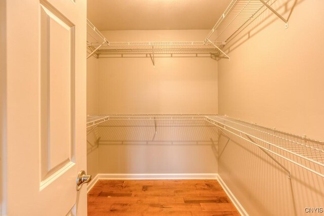 walk in closet featuring wood-type flooring