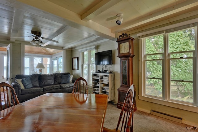 carpeted dining room with ceiling fan, beamed ceiling, wood ceiling, and wood walls