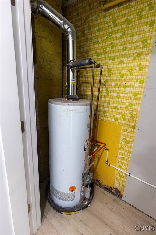 utility room with gas water heater