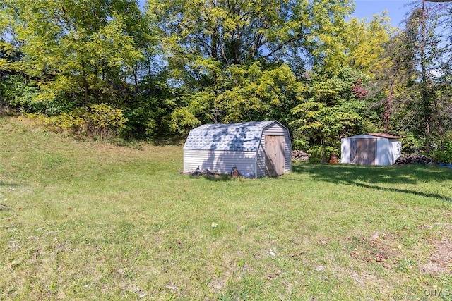 view of yard featuring a storage shed