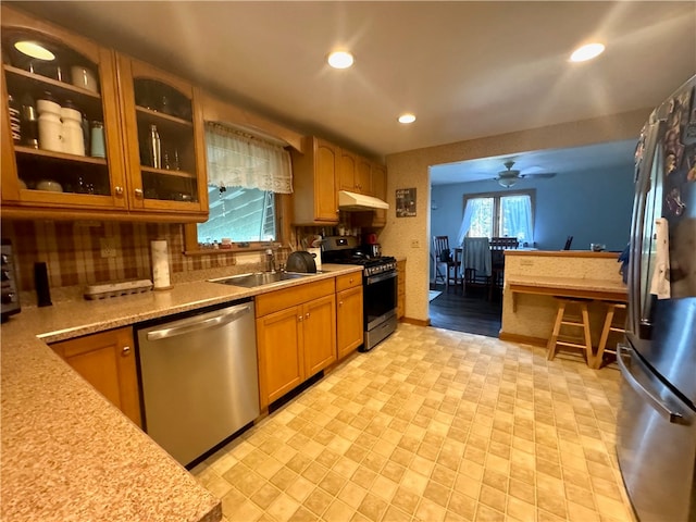 kitchen featuring ceiling fan, stainless steel appliances, and sink