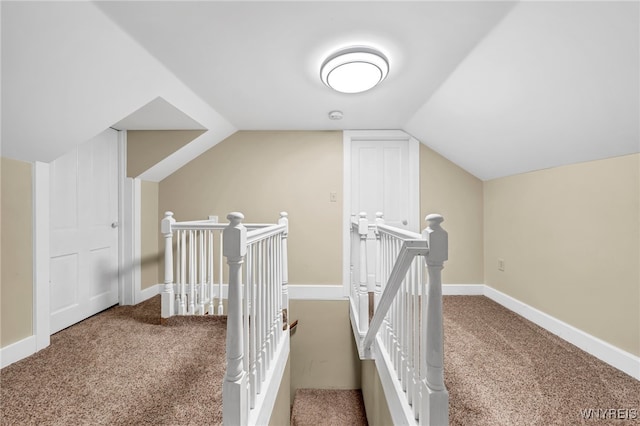 bonus room with lofted ceiling and carpet