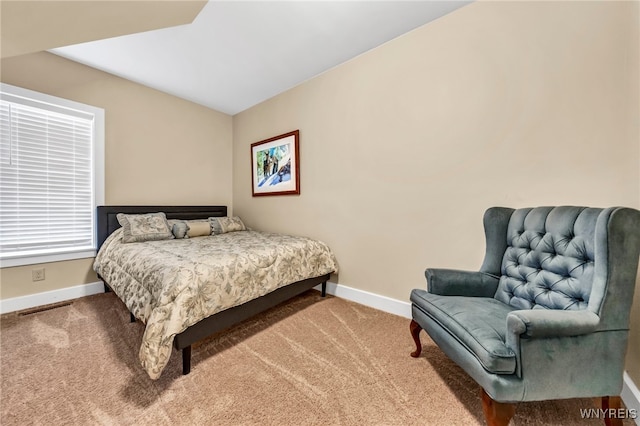 bedroom featuring carpet floors