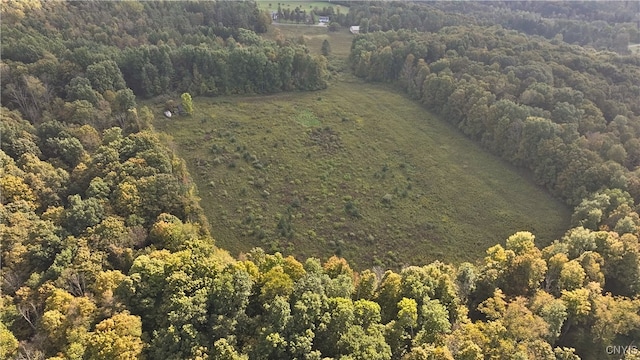 6647 Colton Rd, Lafayette NY, 13084 land for sale