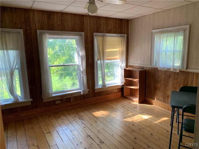 spare room with light hardwood / wood-style floors, ceiling fan, a healthy amount of sunlight, and a paneled ceiling