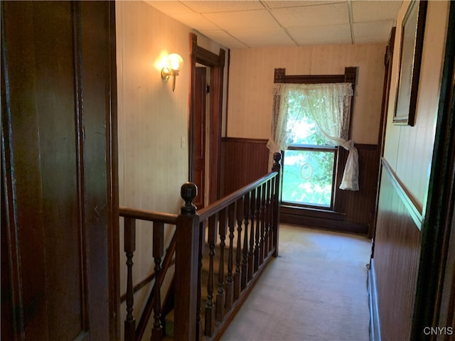 hall featuring a drop ceiling and light colored carpet