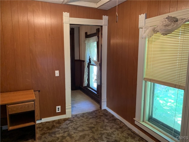 hallway with wooden walls, plenty of natural light, and carpet flooring