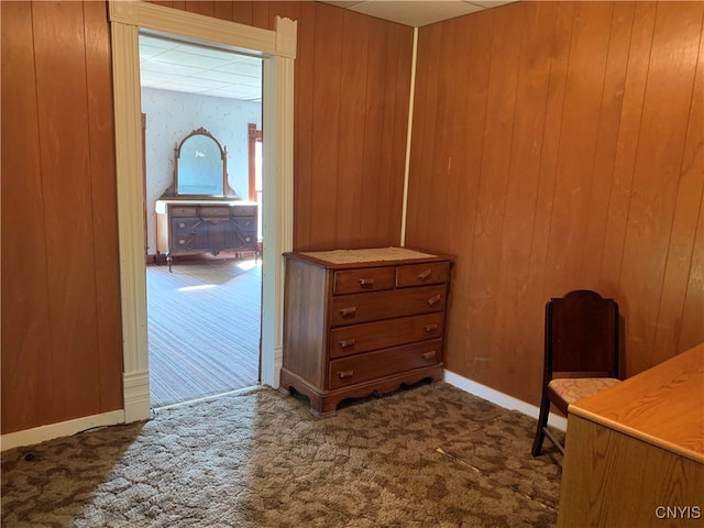 interior space with wood walls