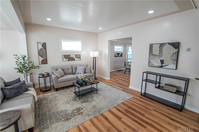 living room with hardwood / wood-style flooring