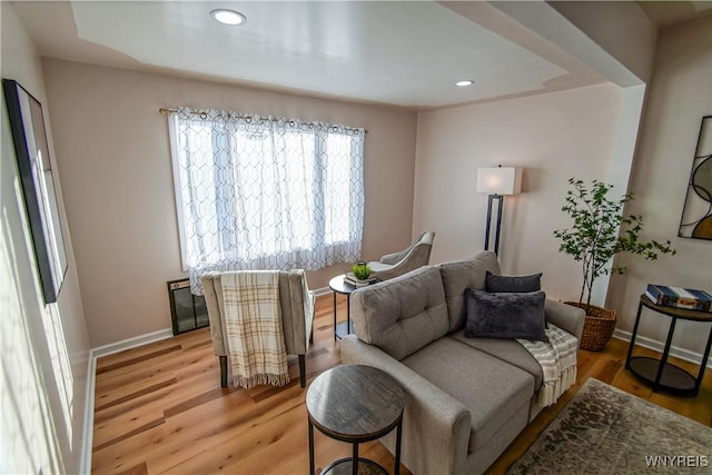 living area with light hardwood / wood-style flooring