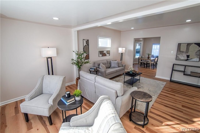 living room featuring hardwood / wood-style floors