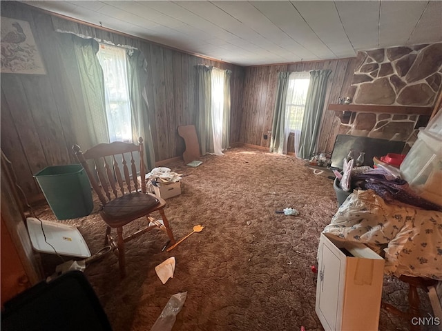 misc room featuring wooden walls, carpet floors, and a stone fireplace