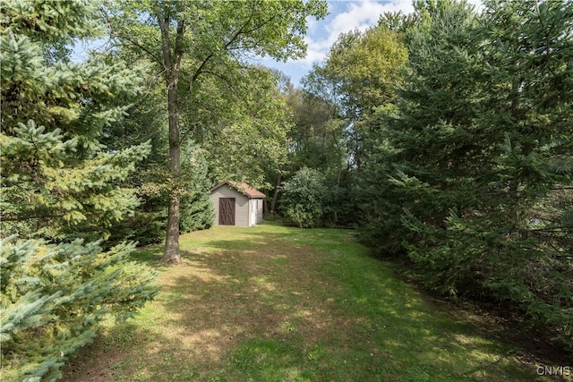 view of yard featuring a storage shed