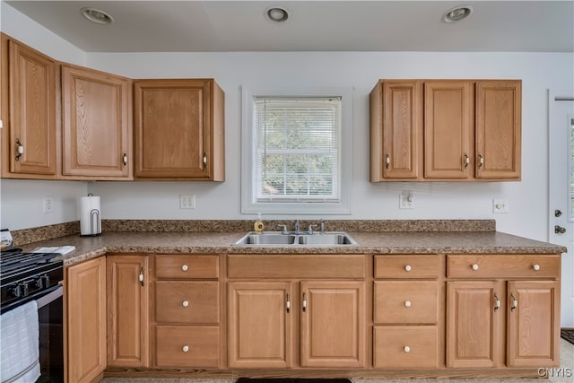 kitchen featuring sink and stainless steel range with gas cooktop