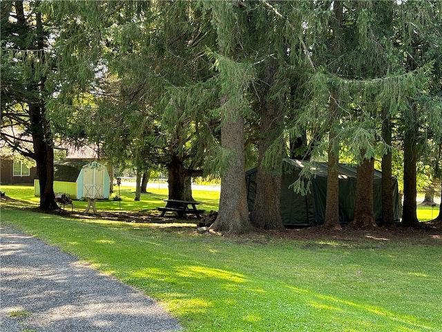 surrounding community featuring a storage shed and a lawn