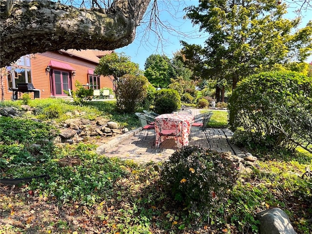 view of yard featuring a patio