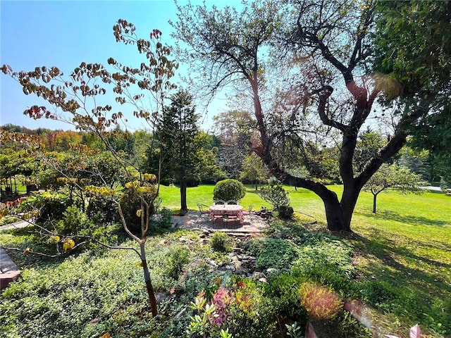 view of yard with a fire pit