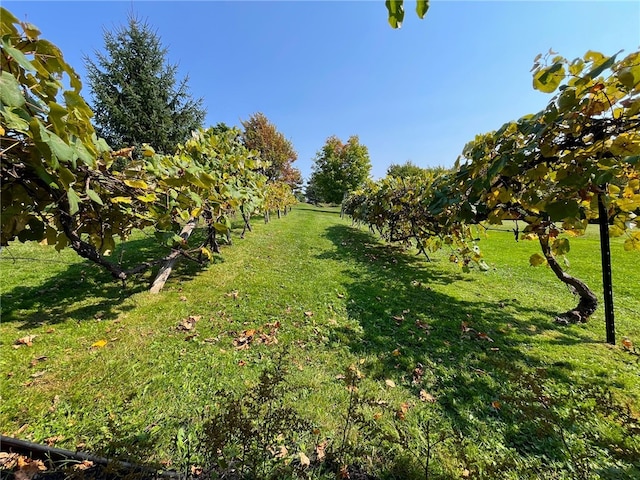 view of yard featuring a rural view