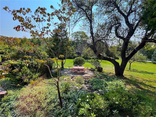 view of yard with a patio and an outdoor fire pit