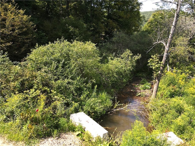 view of nature featuring a water view