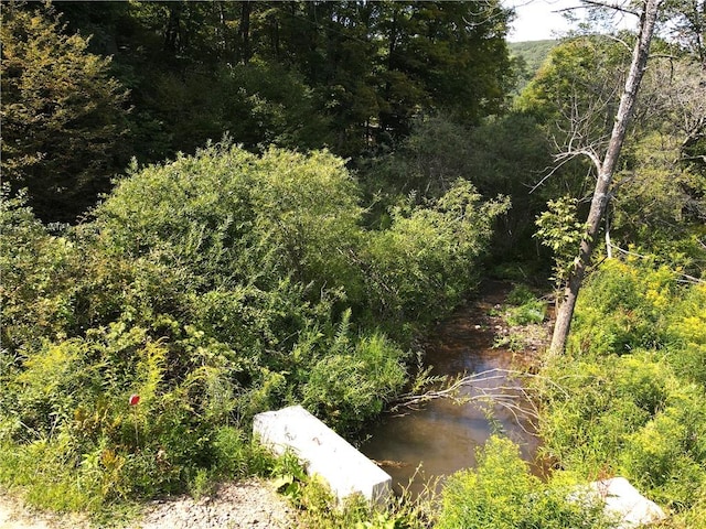 view of landscape featuring a water view