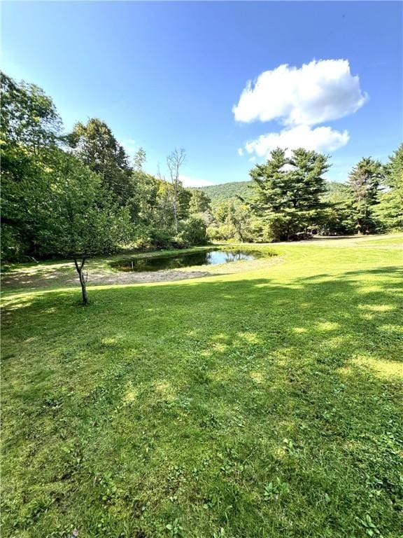 view of yard featuring a water view