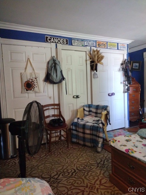 bedroom with a closet and ornamental molding