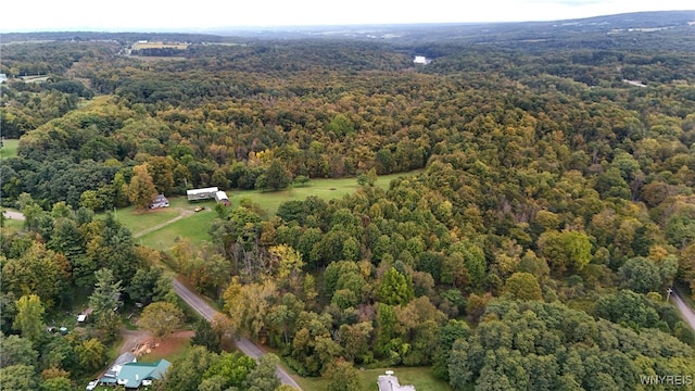 aerial view