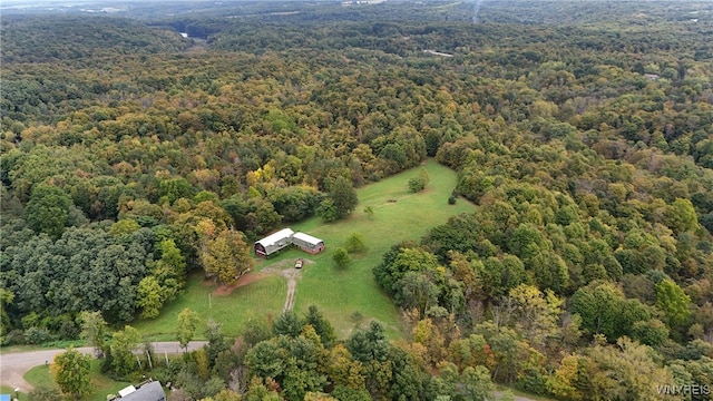 drone / aerial view