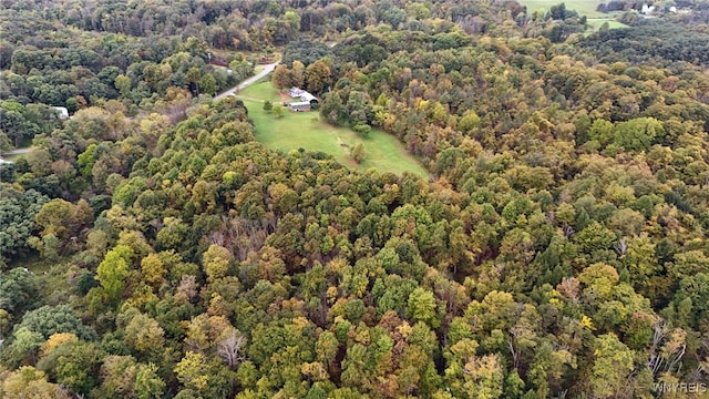 aerial view